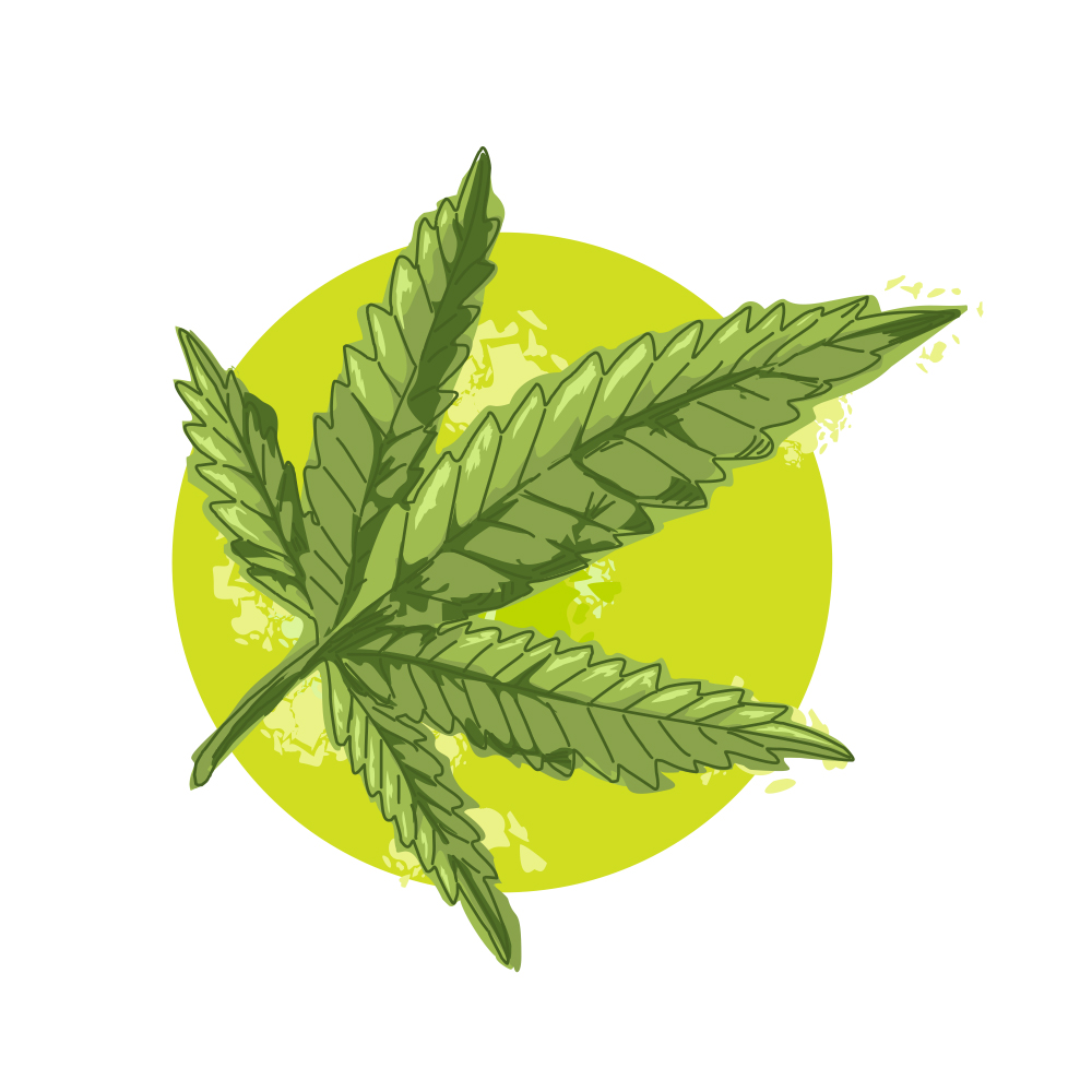 cannabis leaf logo
